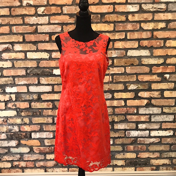 Gianni Bini Dresses & Skirts - NWT - Gianni Bini Red Lace Sheath Dress - Size 8